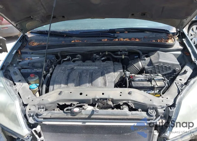 5FNRL38727B424289: 43113177