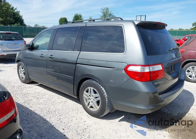 5FNRL38727B424289: 43113177