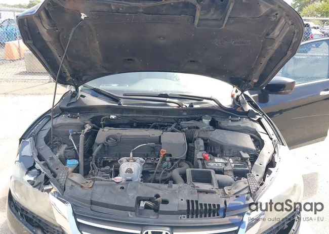 1HGCR2F39FA098661: 43113293