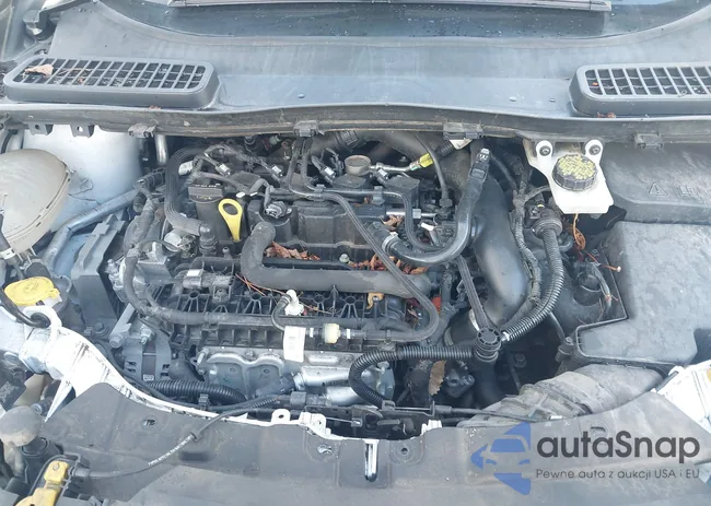 1FMCU9GD6KUC49246: 43113442