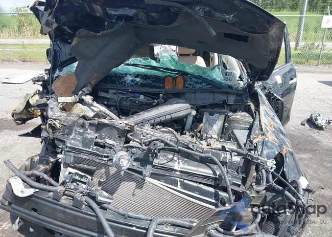 5N1AT2MT1FC830856: 43113614