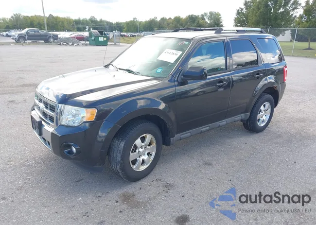 1FMCU9EG1BKA93254: 43112830