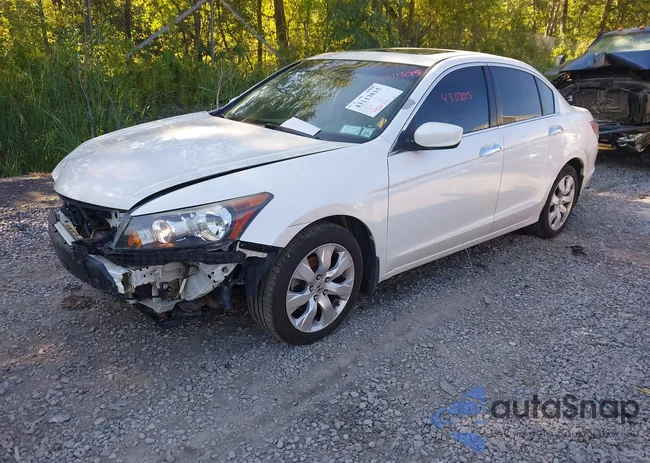 5KBCP36869B502633: 43113015