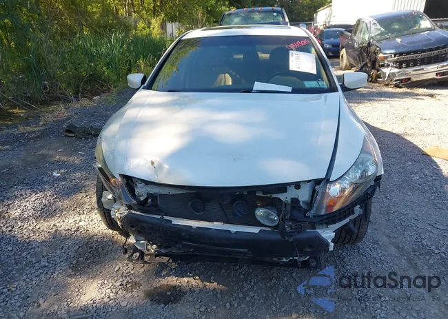 5KBCP36869B502633: 43113015