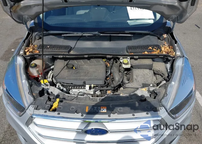 1FMCU9GD0JUD42021: 43114281