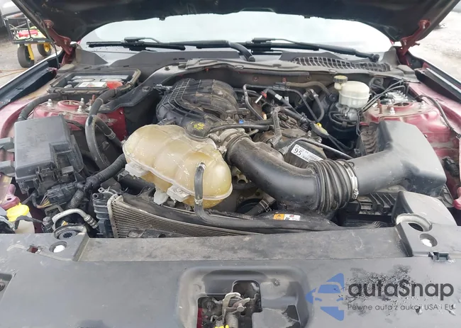 1FA6P8AM5G5305082: 43114473