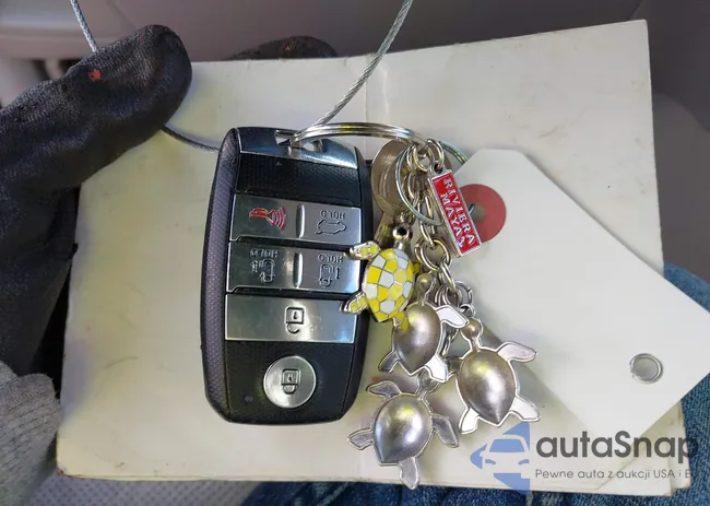 KNDMC5C18F6019945: 43114540