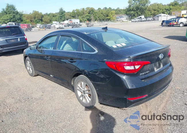 5NPE24AF3FH005568: 43115242