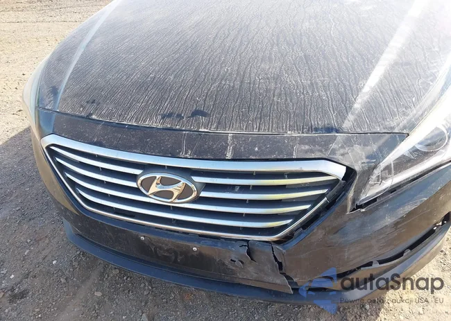 5NPE24AF3FH005568: 43115242