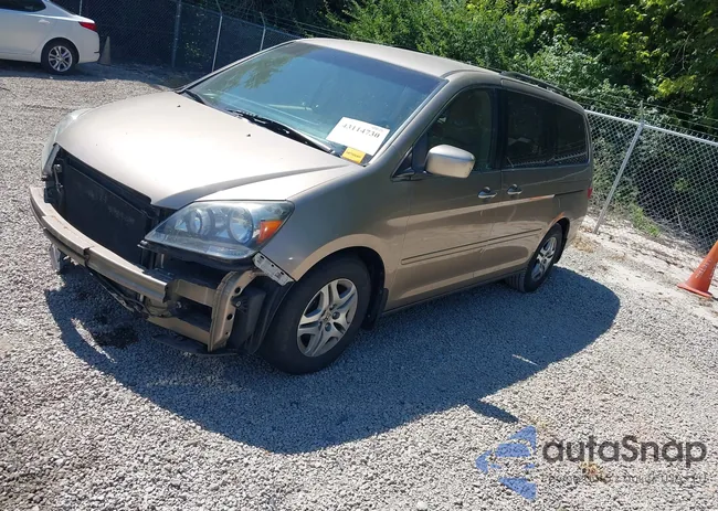 5FNRL38405B404190: 43114730