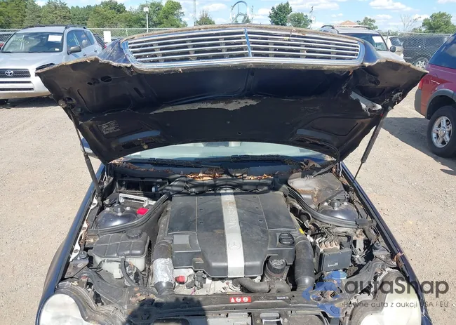 WDBRH81J65F615189: 43116120