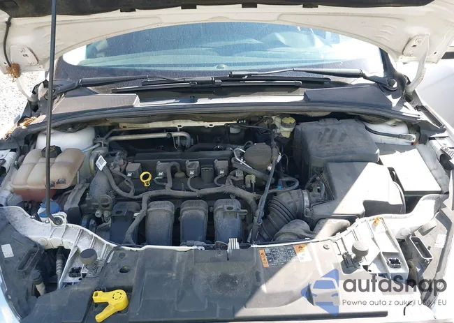 1FADP3N2XGL200603: 43116341