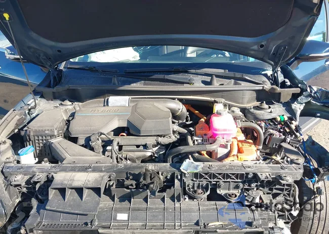 KNDPVCAG6P7076773: 43116346