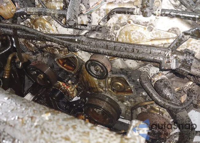 1N6AD06U67C439261: 43116534