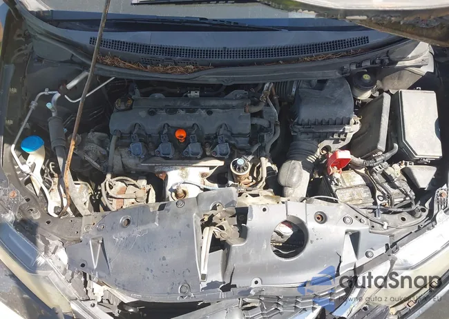 2HGFB2F5XDH591007: 43116653