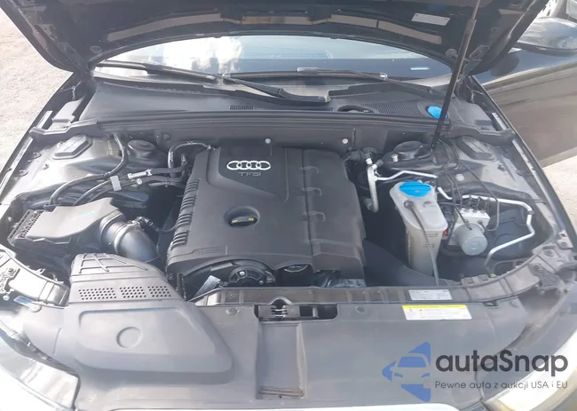 WAUFFAFL1GN011616: 43117093