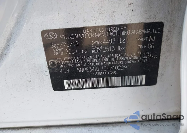 5NPE34AF7GH310229: 43117229