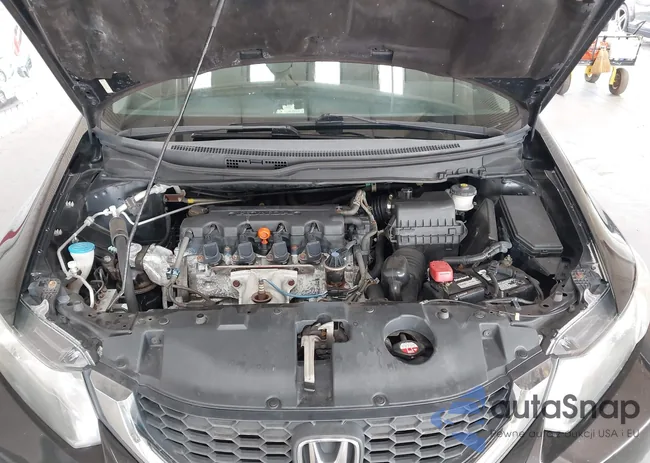 19XFB2F51DE215984: 43117511