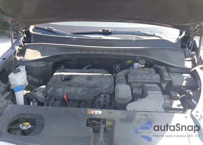 5XYPG4A33KG537436: 43116805