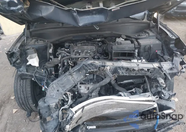 KM8R4DHE9LU091734: 43116853