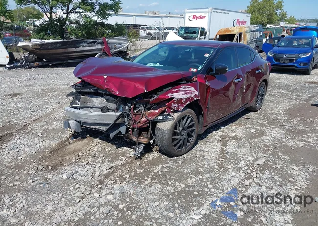 1N4AA6AP5GC429911: 43118167