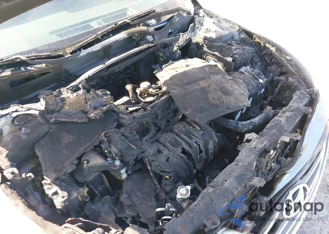 5NPE34AF7HH568901: 43118606