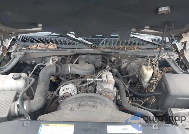 1GTEC14W8XZ535634: 43118660