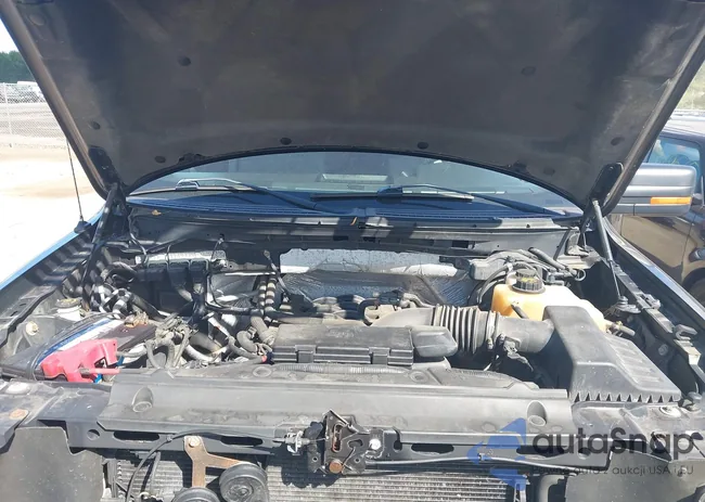 1FTFX1EF6BFA04997: 43118664