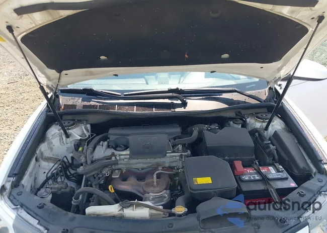 4T1BF1FK7CU545367: 43117953