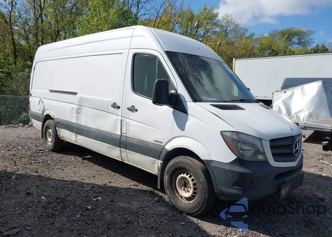 WD3PE8DE7E5895706: 43117960