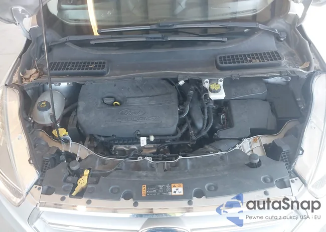 1FMCU9GDXJUC62452: 43119355