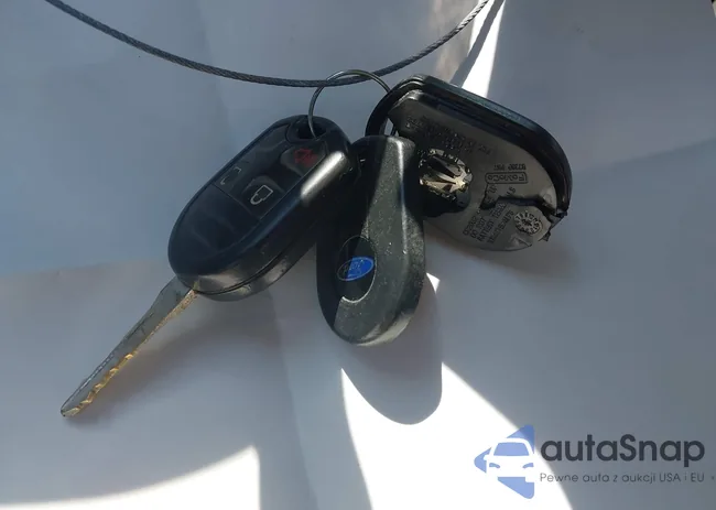 2FMDK3JC4DBB28506: 43119385