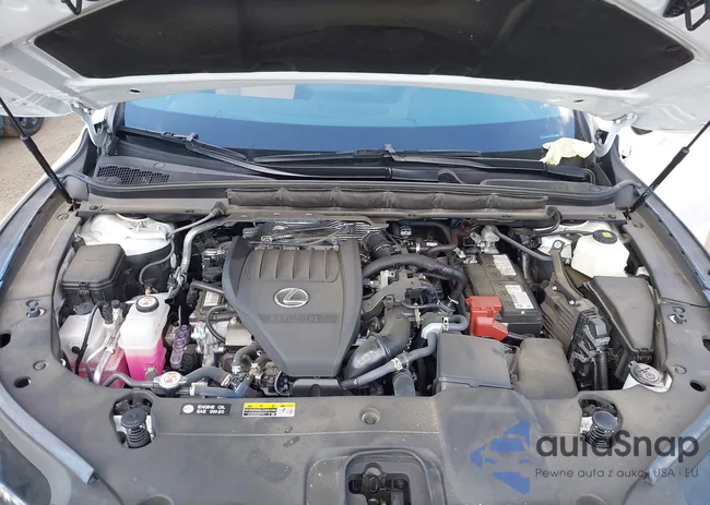 2T2BAMCA1PC036938: 43118888