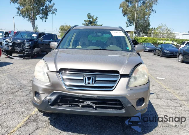 SHSRD78956U433954: 43118968