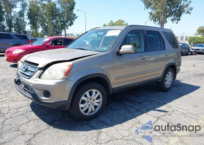 SHSRD78956U433954: 43118968