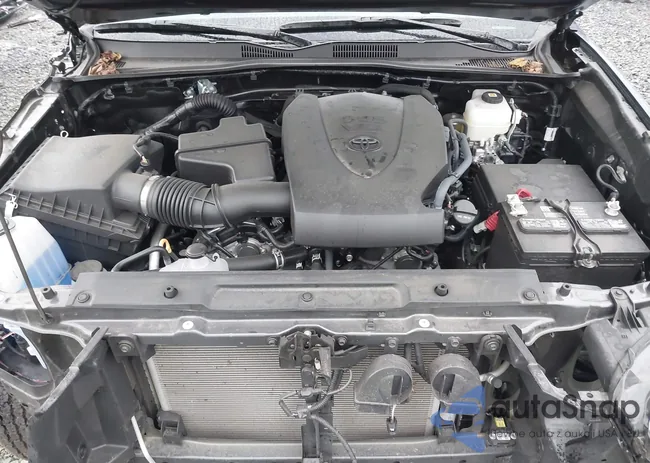 3TMDZ5BN5PM161254: 43119004