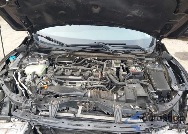 2HGFC1F34GH654838: 43120192