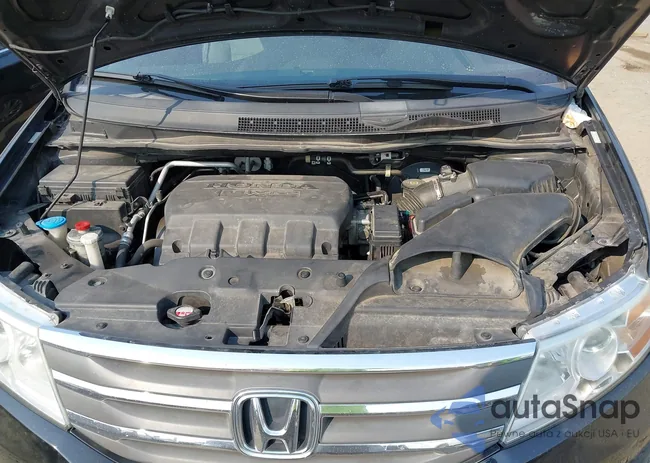 5FNRL5H49BB087839: 43120216