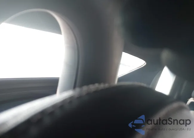 TRUMF38J081003684: 43121674