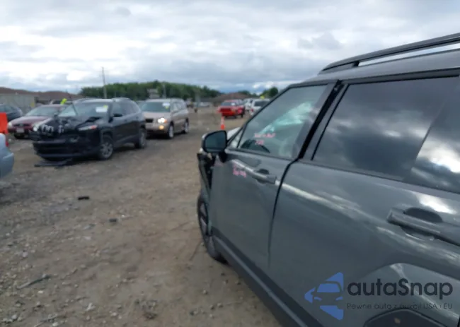 5NMP2DG19SH063681: 43122309