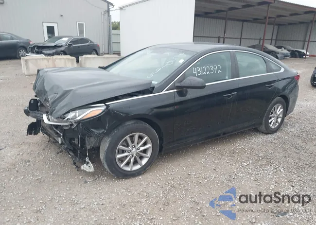 5NPE24AF4KH750193: 43122392