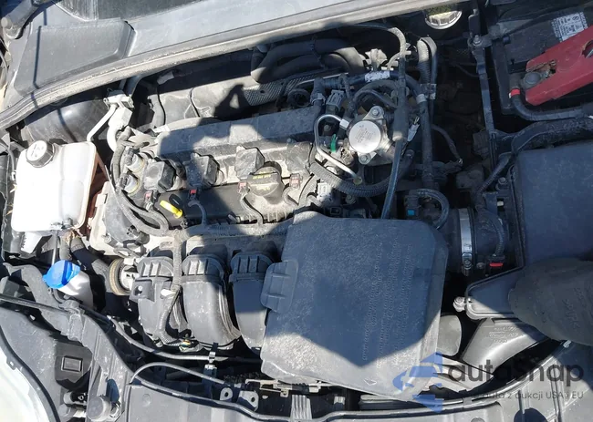 1FADP3F20DL212477: 43122565