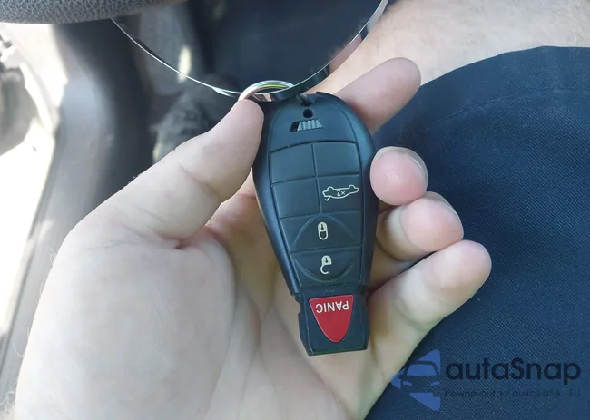 1C3CDFAA5FD266602: 43121905