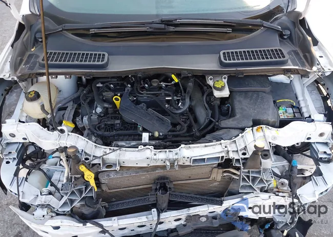 1FMCU9GD4KUA31385: 43123306