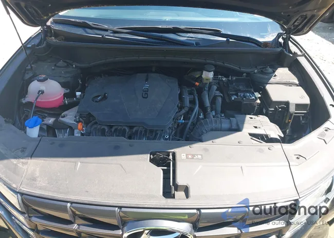 5NMJB3AEXPH242265: 43122684