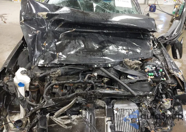 5NPEC4AB6DH601524: 43122888