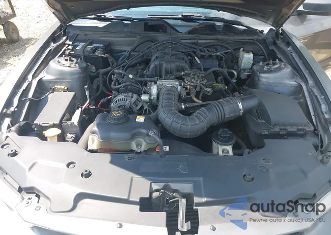 1ZVBP8AN5A5175231: 43122928