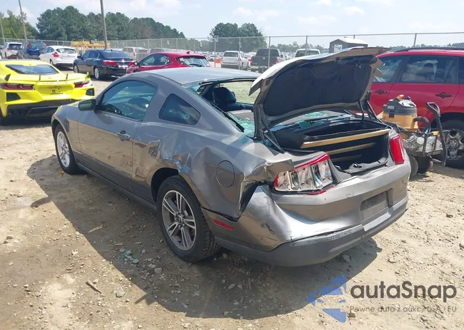 1ZVBP8AN5A5175231: 43122928