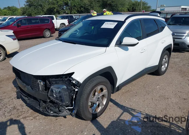 5NMJB3DE3RH389820: 43124605