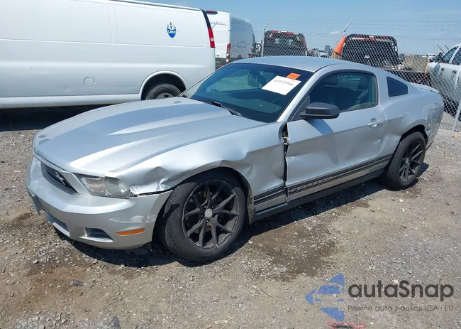 1ZVBP8AM4C5234747: 43123966